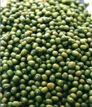 供应大庆一级绿豆8000元/吨